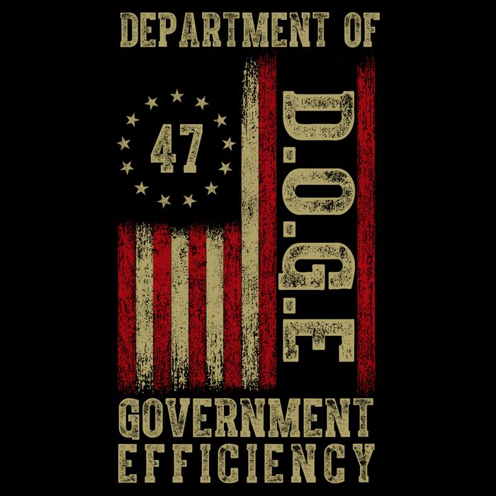 Doge Department Of Government Efficiency Women's Perfect Tri Tunic Long Sleeve Shirt