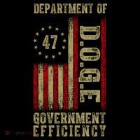 Doge Department Of Government Efficiency Tie-Dye T-Shirt