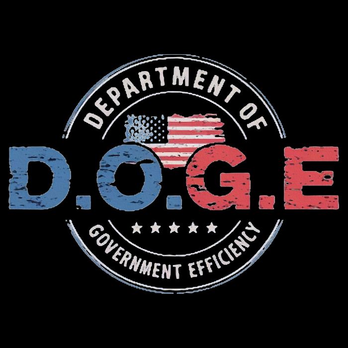 D.O.G.E. Department Of Government Efficiency Doge 16 in Basic Backpack