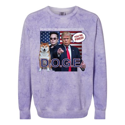 Doge Department Of Government Efficiency Colorblast Crewneck Sweatshirt