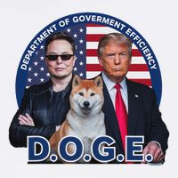 Doge Department Of Government Efficiency Youth Performance Sprint T-Shirt