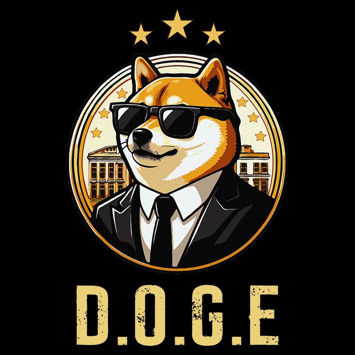 D.O.G.E Department Of Government Efficiency Doge Trump City Backpack