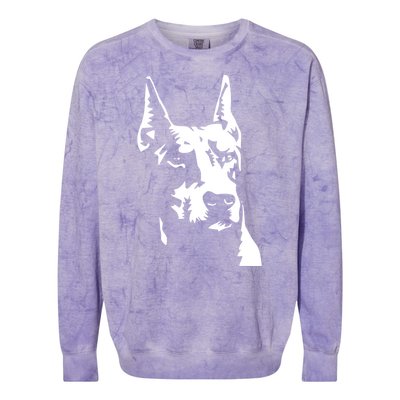 DOBERMAN Colorblast Crewneck Sweatshirt