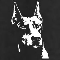 DOBERMAN Adult Drive Performance Visor