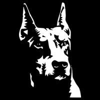 DOBERMAN Cropped Pullover Crew