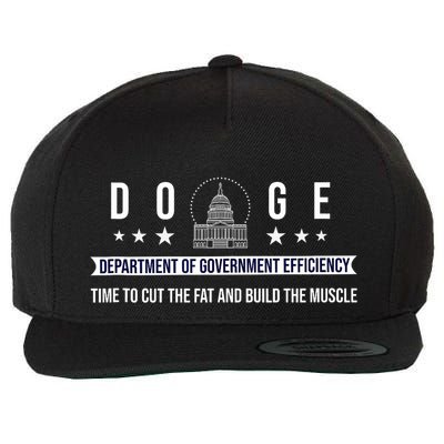 Doge Department Of Government Efficiency Political Design Wool Snapback Cap