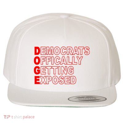 Doge Democrats Officially Getting Exposed Dept Of Govt Wool Snapback Cap