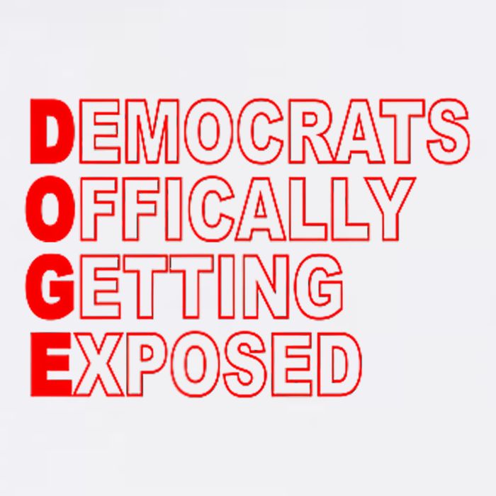 Doge Democrats Officially Getting Exposed Dept Of Govt Wool Snapback Cap