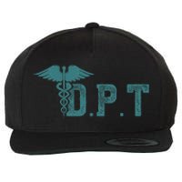 DPT Doctor Of Physical Therapy Student Therapist Gift Wool Snapback Cap