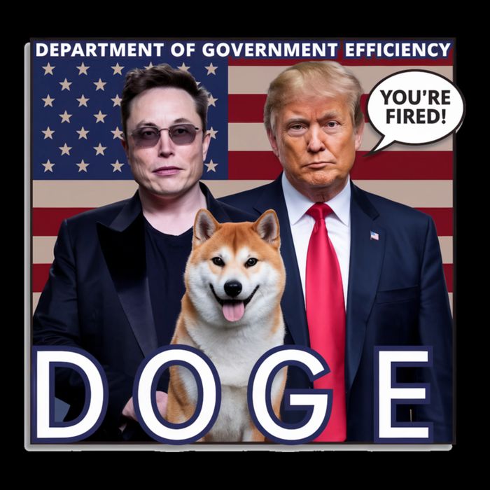 Doge Department Of Government Efficiency Zip Tote Bag