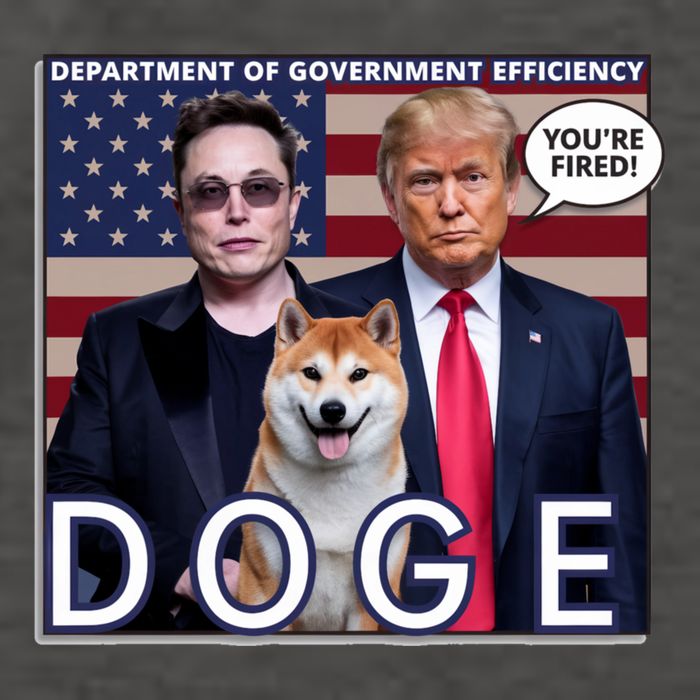 Doge Department Of Government Efficiency Vector Backpack