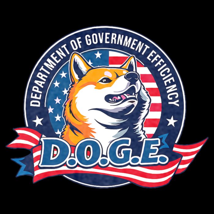 D.O.G.E Department Of Government Efficiency Doge Backpack