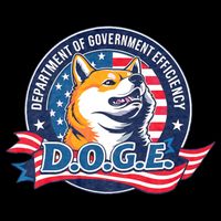 D.O.G.E Department Of Government Efficiency Doge Wool Snapback Cap