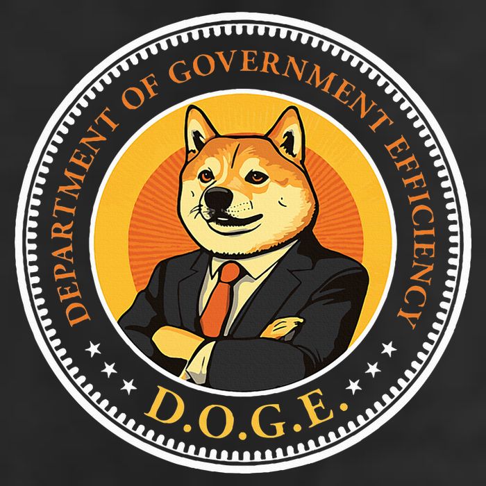 Doge Department Of Government Efficiency Doge Design 15oz Campfire Ceramic Mug