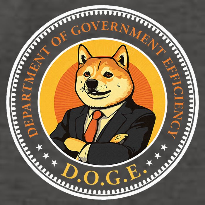 Doge Department Of Government Efficiency Doge Design Vector Backpack