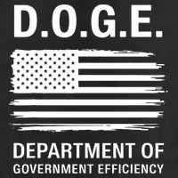 Doge Department Of Government Efficiency Gift Beanie