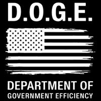 Doge Department Of Government Efficiency Gift Womens T-Shirt