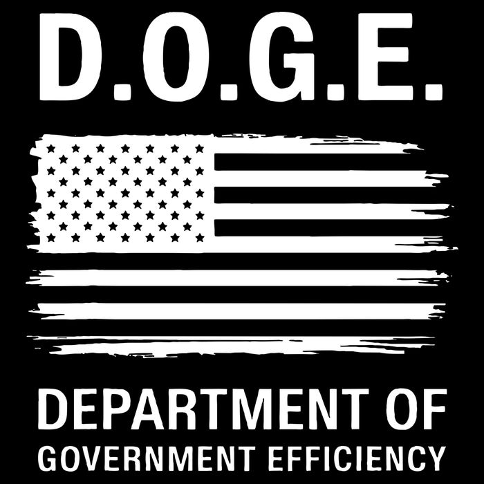 Doge Department Of Government Efficiency Gift Womens T-Shirt