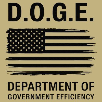 Doge Department Of Government Efficiency Gift T-Shirt