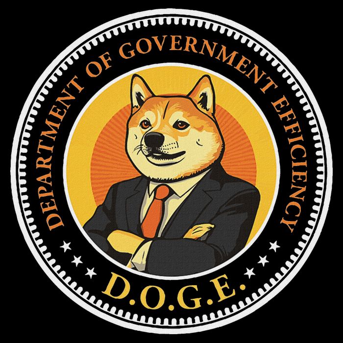 Doge Department Of Government Efficiency Doge Design Cooling Performance Long Sleeve Crew