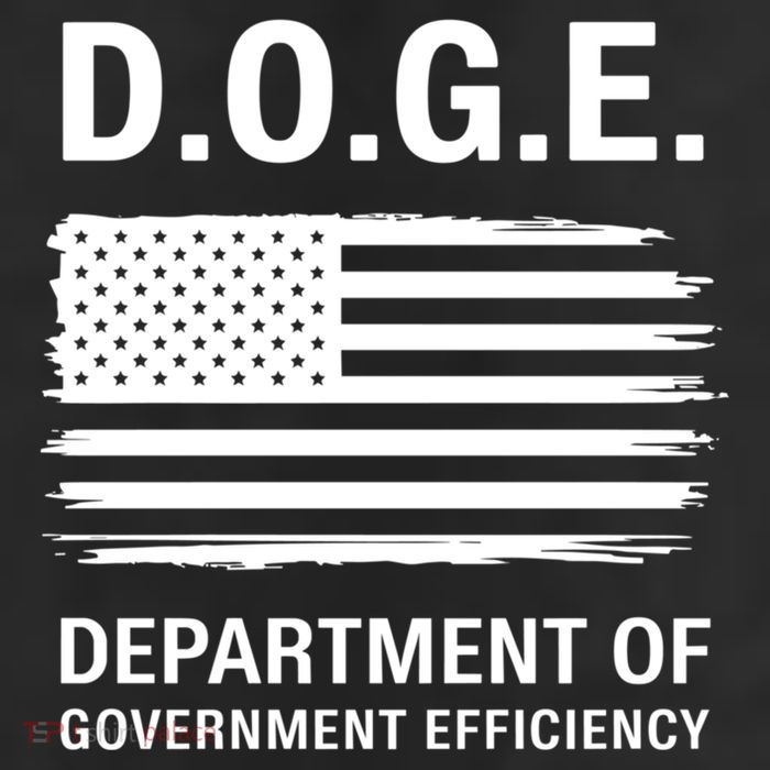 D.O.G.E Department Of Government Efficiency Doge 11oz C Handle Ceramic Mug