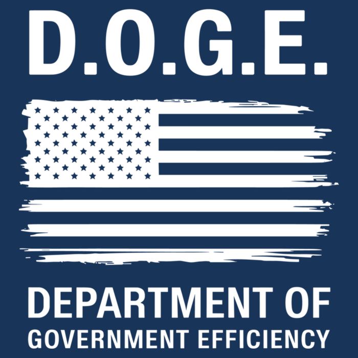 D.O.G.E Department Of Government Efficiency Doge Hoodie