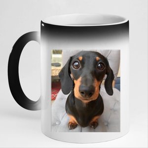 Dachshund Dog Photo Portrait Sweet Puppy 11oz Black Color Changing Mug