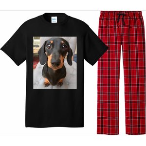 Dachshund Dog Photo Portrait Sweet Puppy Pajama Set