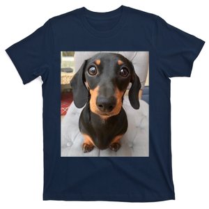 Dachshund Dog Photo Portrait Sweet Puppy T-Shirt