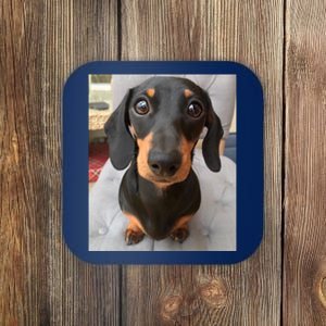 Dachshund Dog Photo Portrait Sweet Puppy Coaster