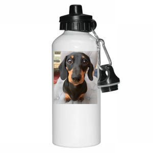 Dachshund Dog Photo Portrait Sweet Puppy Aluminum Water Bottle