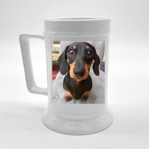 Dachshund Dog Photo Portrait Sweet Puppy Beer Stein