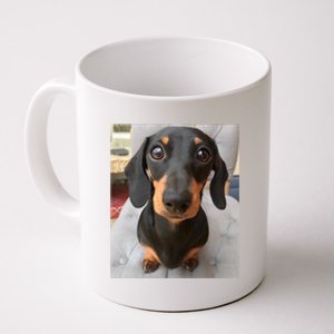 Dachshund Dog Photo Portrait Sweet Puppy Coffee Mug