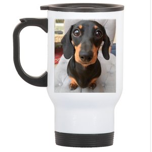 Dachshund Dog Photo Portrait Sweet Puppy Stainless Steel Travel Mug