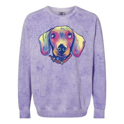 Dachshund Dog Portrait Colorblast Crewneck Sweatshirt