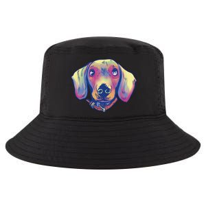 Dachshund Dog Portrait Cool Comfort Performance Bucket Hat