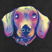 Dachshund Dog Portrait Adult Drive Performance Visor