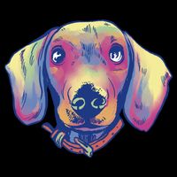 Dachshund Dog Portrait 16 in Basic Backpack