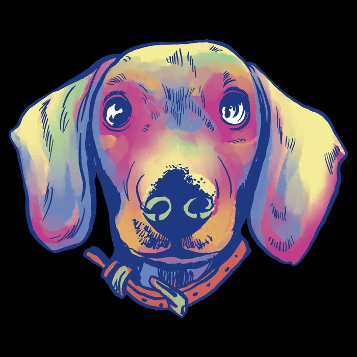 Dachshund Dog Portrait 16 in Basic Backpack