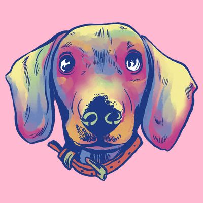 Dachshund Dog Portrait T-Shirt