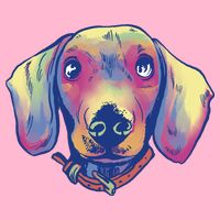 Dachshund Dog Portrait Womens T-Shirt