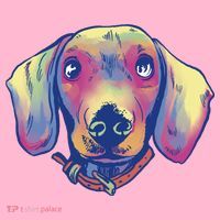 Dachshund Dog Portrait Women's V-Neck T-Shirt