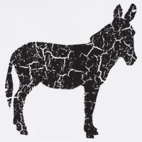 Donkey Distressed Print Vintage Donkey Flatbill Hat