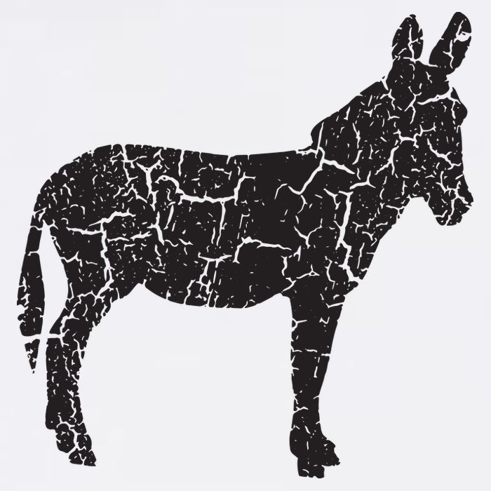 Donkey Distressed Print Vintage Donkey Visor