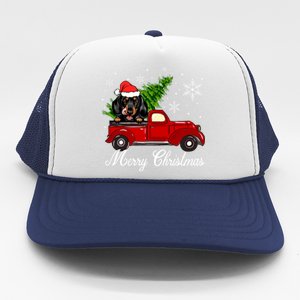 Dachshund Dog Riding Red Truck Christmas Decorations Pajama Gift Trucker Hat