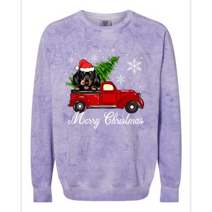 Dachshund Dog Riding Red Truck Christmas Decorations Pajama Cool Gift Colorblast Crewneck Sweatshirt