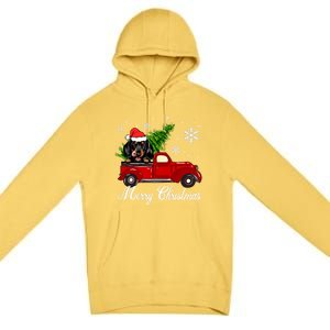 Dachshund Dog Riding Red Truck Christmas Decorations Pajama Cool Gift Premium Pullover Hoodie