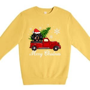 Dachshund Dog Riding Red Truck Christmas Decorations Pajama Cool Gift Premium Crewneck Sweatshirt