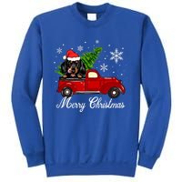 Dachshund Dog Riding Red Truck Christmas Decorations Pajama Cool Gift Sweatshirt