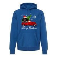 Dachshund Dog Riding Red Truck Christmas Decorations Pajama Cool Gift Premium Hoodie